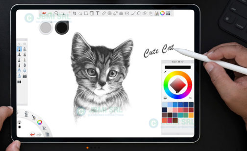 Lapiz Óptico Activo Apple iPad Pencil Dibujos Stylus Pro - Imagen 11