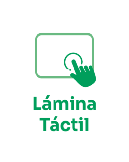 Lámina Táctil